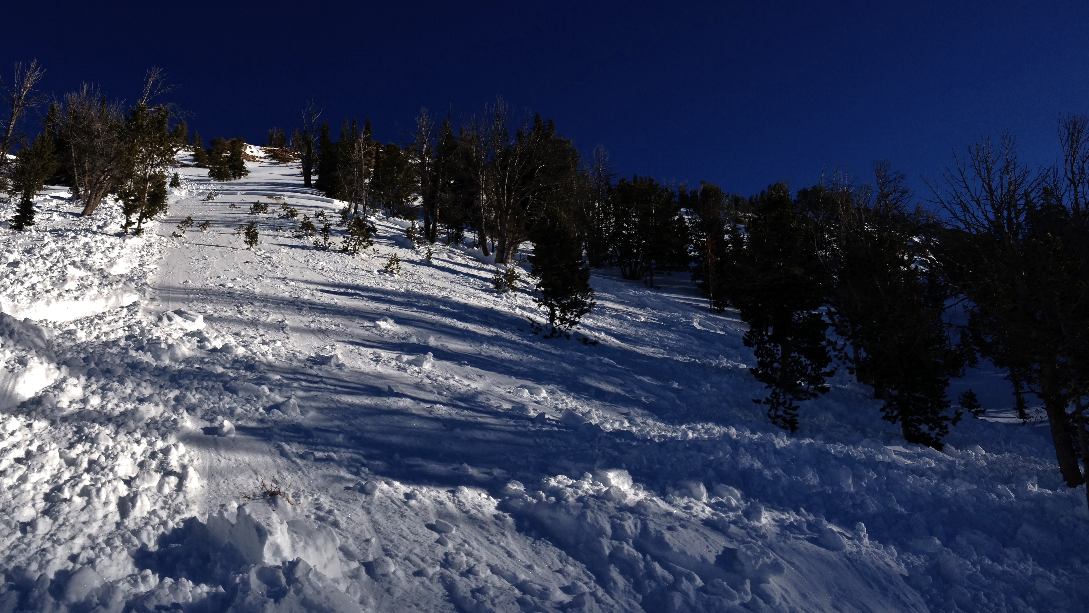 Beehive Avalanche Debris