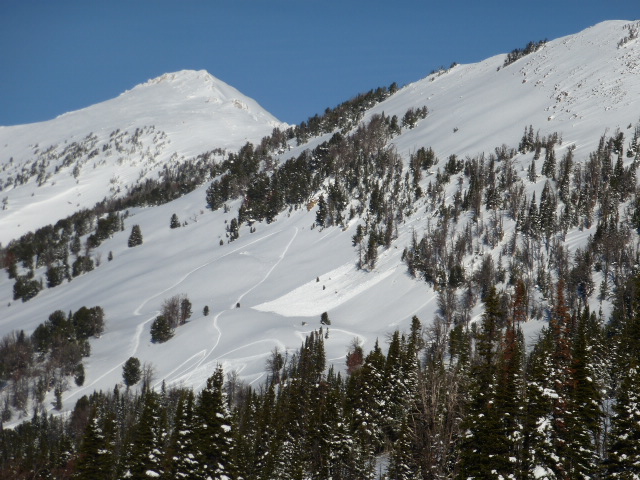 Avalanche above Cabin Creek