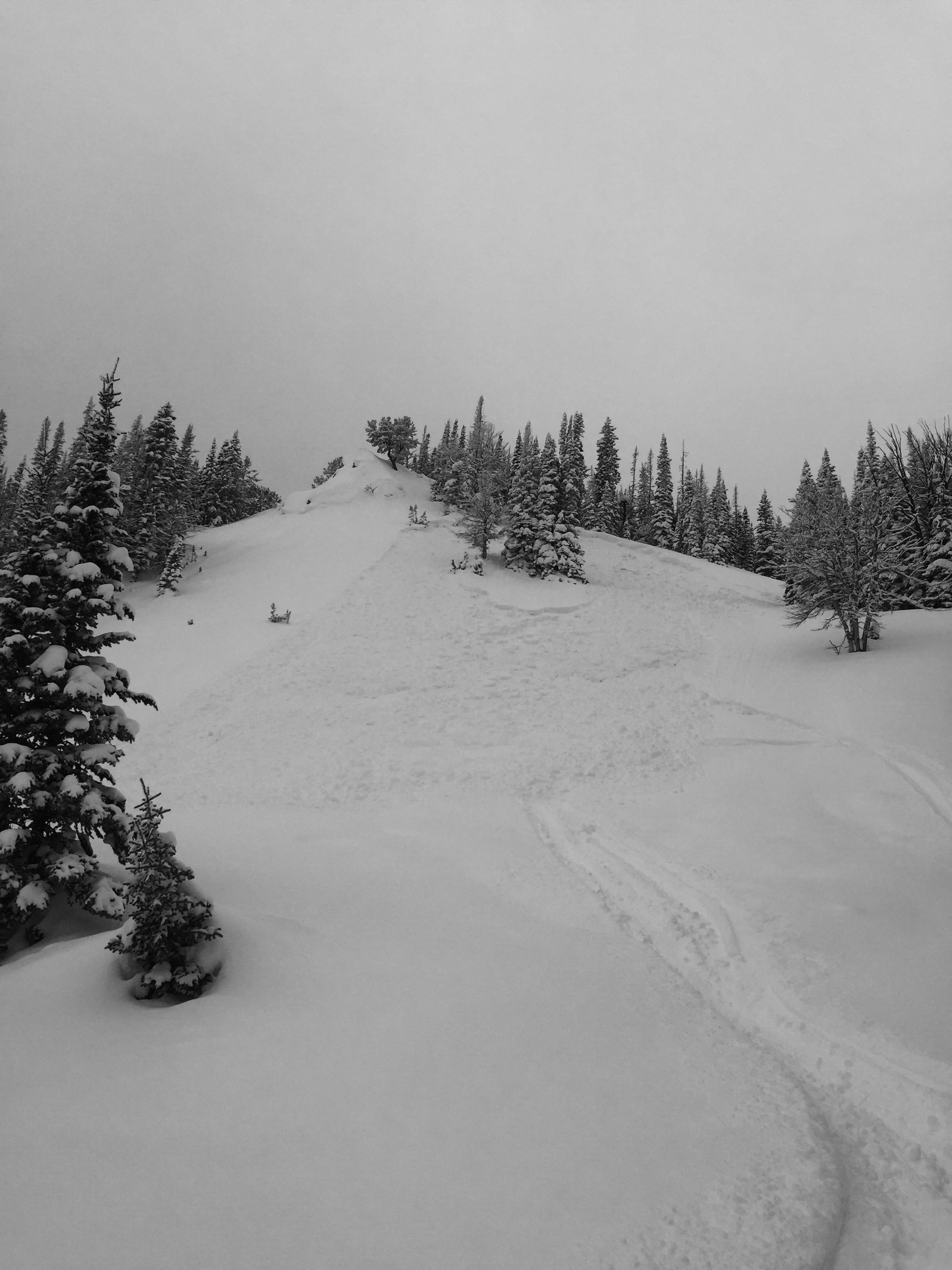 Snowmobile Triggered Cabin Creek