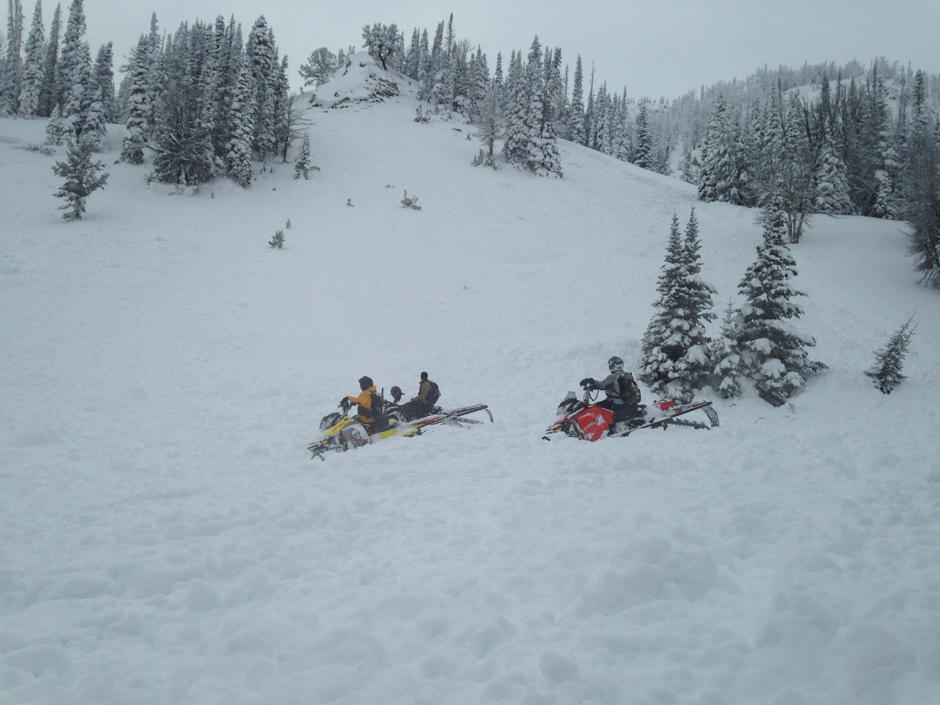 Tepee Basin Avalanche  