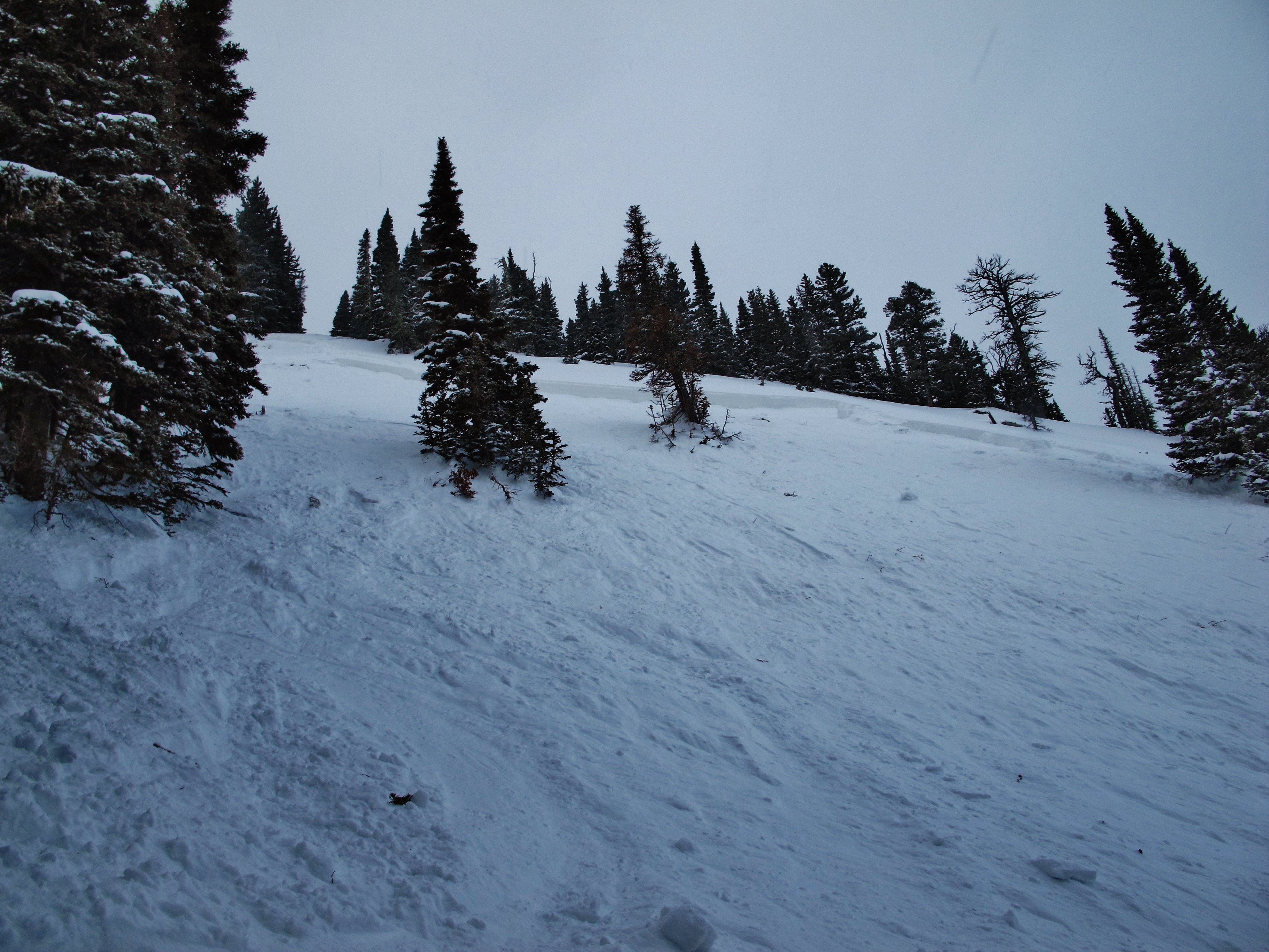 Human Triggered Avalanche - Northern Bridgers 