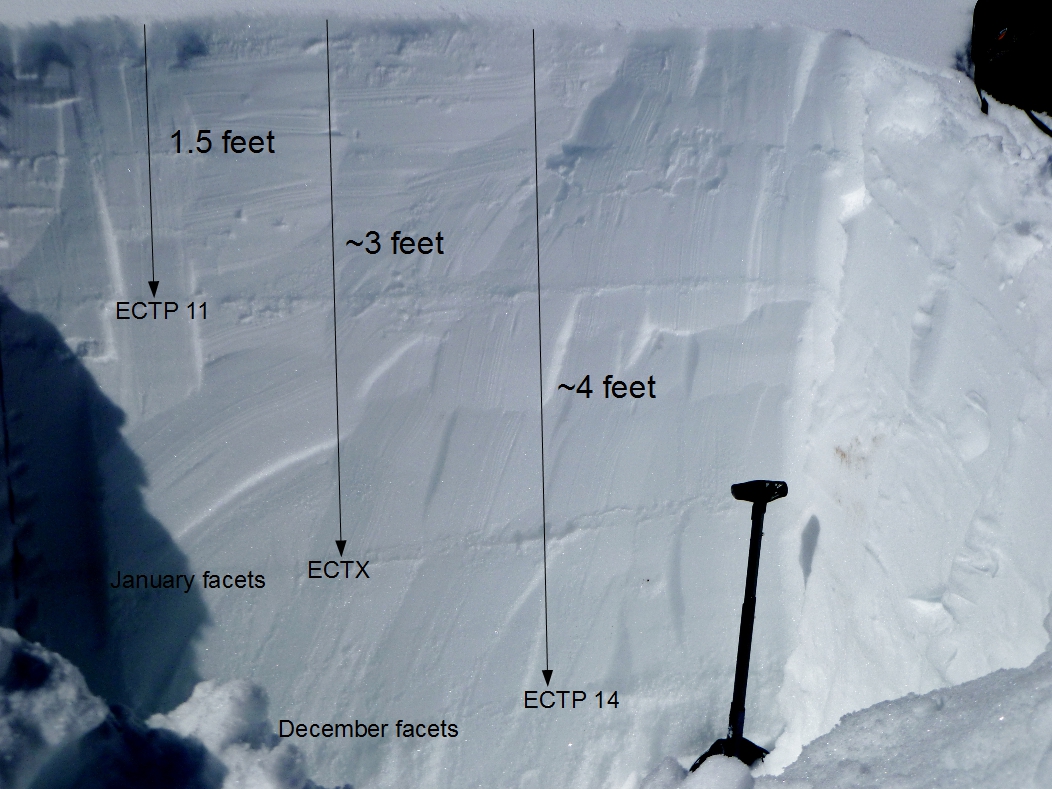 Weak layers in the snowpack - Taylor Fork