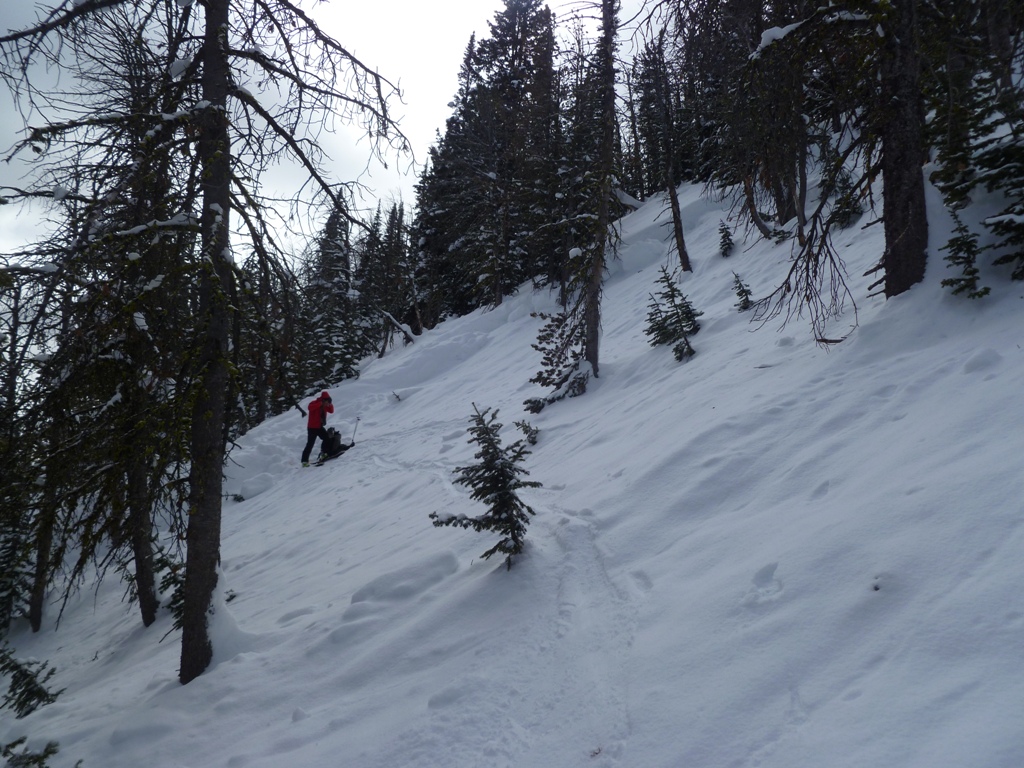 Mt Wheeler Avalanche 