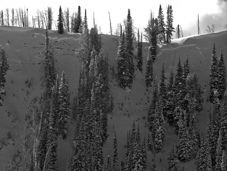 Natural Avalanche near Cooke City