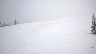 Small avalanche near Lick Creek